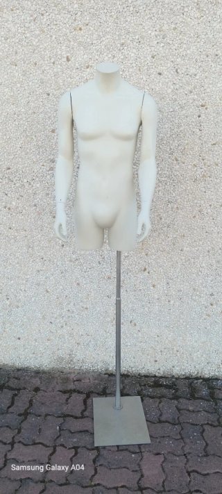 Maniquí de Torso masculino
