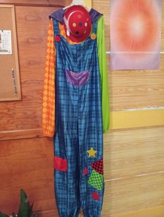 Disfraz de Payaso Adulto Multicolor