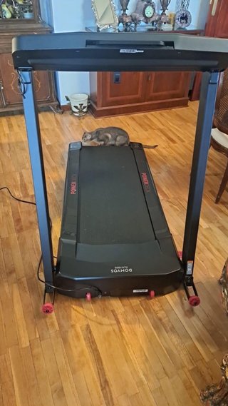 Cinta de Correr Domyos prácticamente nueva.