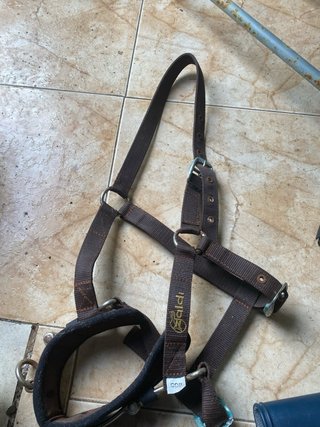 Cabezada de cuadra para dar cuerda