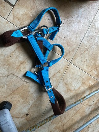 Cabezada de cuadra para caballo