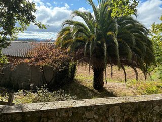 Venta finca urbana de 4725 m, en Cumbraos-Mesia.