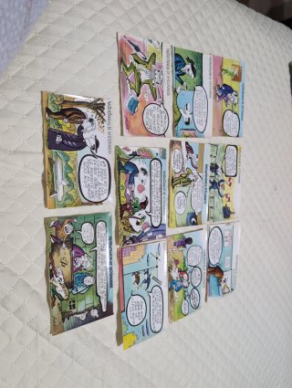 Lote de 10 Postales Instantáneas de Aficionados