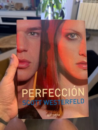 Perfección