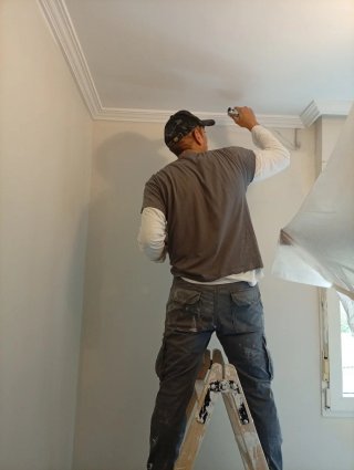 Servicio de Pintura Profesional