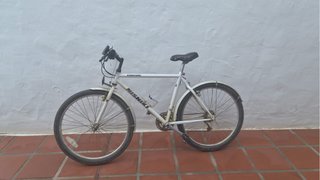 Adult Bicycle for Sale