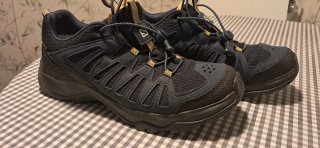 Zapatillas de Montaña Salomon Gore-Tex