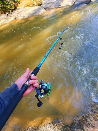 Equipo pesca, Equipo Spinning ZUN ZUN, Caña Pesca