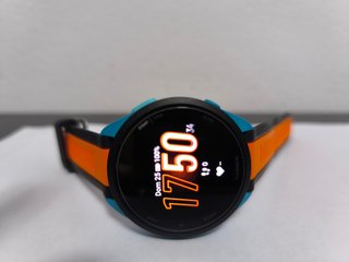 Garmin Forerunner 165 Music