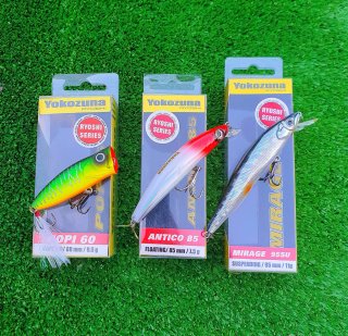 Señuelos Pesca, Popper, Minnows, Spinning, Rioshi