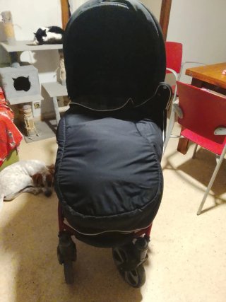 Cochecito de Bebé 2 Piezas Negro