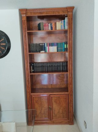 Librería de Madera con Puertas Inferiores