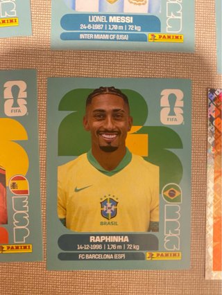Cromo Panini Mundial Raphinha