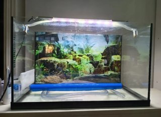 Pecera de Cristal 65L