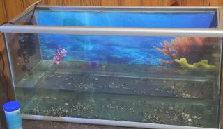 Acuario