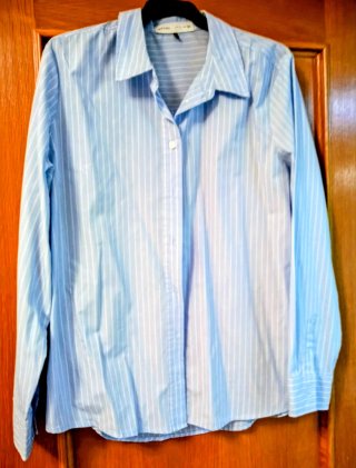 Camisa Manga Larga Rayas Diplomáticas Azul