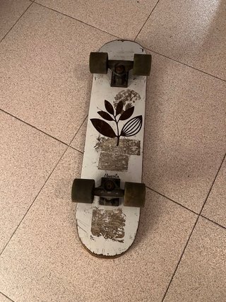 Skate con Ruedas de Longboard