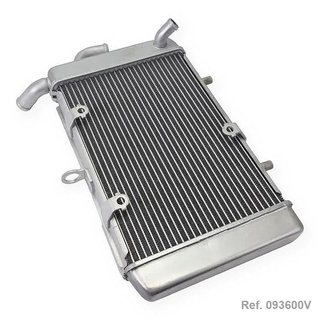 Radiador de agua Yamaha Xmax 125 (18-20), Xmax 300