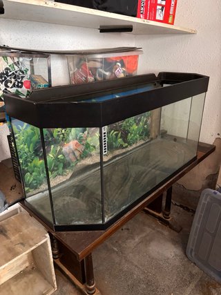 Acuario Terrario Hexagonal
