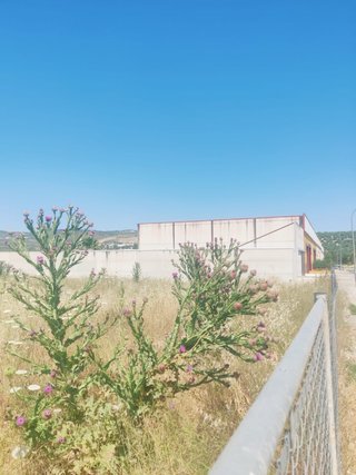 Terreno Urbano. Poligiono Industrial