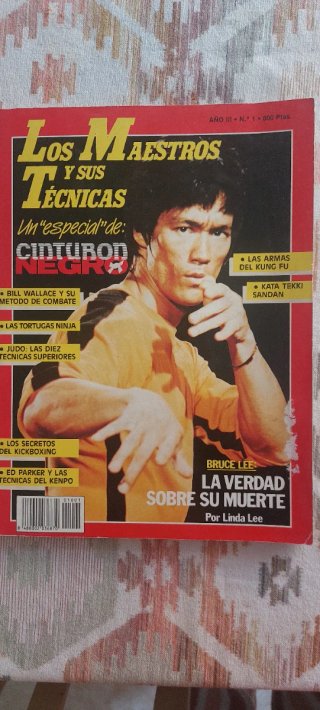 Revista Los Maestros y sus Técnicas: Cinturón Negr