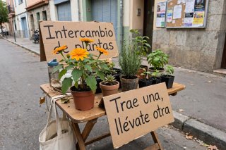 Intercambio de plantas y semillas!!!