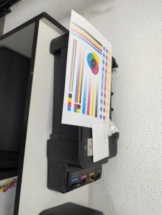 Impresora Epson L120