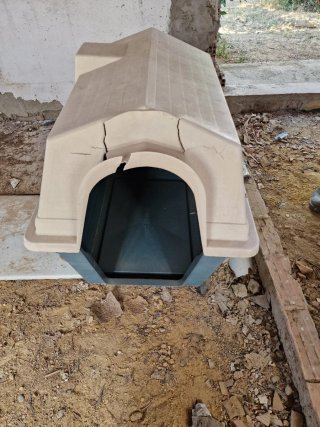 Caseta para Perro Mediano