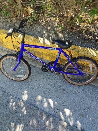 Bicicleta Infantil