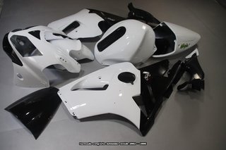 Carenado Completo para KAWASAKI ZX12R 2002 - 2006