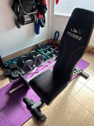 Banco de Pesas FLYBIRD con Set de Discos