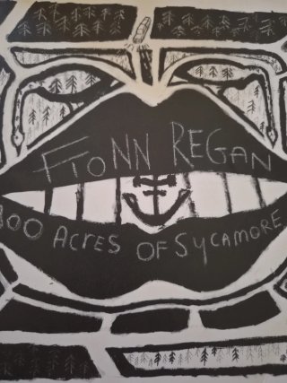 Vinilo LP Fionn Regan - 100 Acres of Sycamore