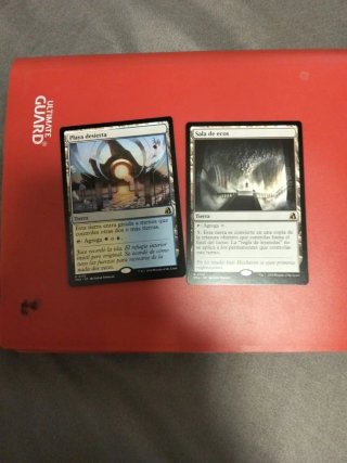 Cartas Magic: Playa desierta y Sala de ecos