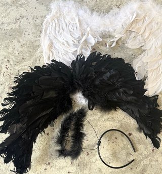 Alas de Ángel Blancas y negras