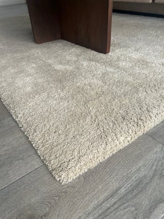 Alfombra de Salón Beige