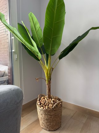 Planta Artificial Decorativa
