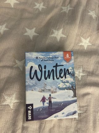 Juego de mesa Winter (Devir)