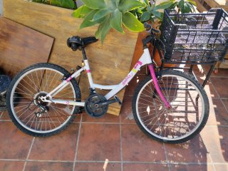 Bicicleta Denbike 24 pulgadas