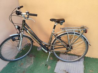 Bicicleta de paseo Thompson