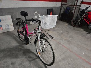 Bicicleta de padeo