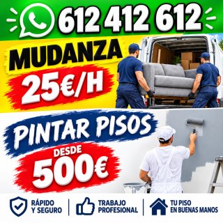 MUDANZAS PINTOR PINTORES