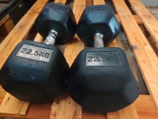 Set de 2 Mancuernas de 22,5kg