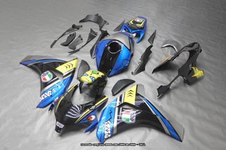 Oferta especial Carenado para HONDA CBR1000RR 2008