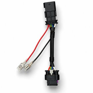 Robacorrientes Faro BMW R 12 (2024-2026)