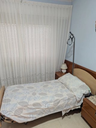 Cama Articulada Eléctrica con Incorporador