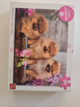 Puzzle 99 piezas Puppies Posing