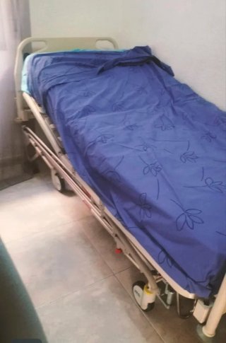 Cama Articulada Eléctrica Pardo