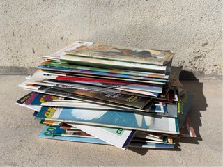 Más de 70 revistas de aves y cria de palomas