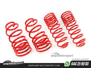 MUELLES DEPORTIVOS MTS TECHNIK MTSXKI018
