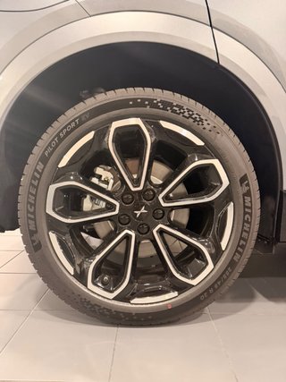 4 Michelin Pilot Sport EV 255/45 R20 nuevos